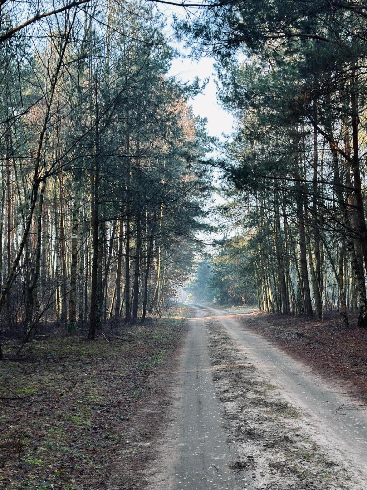 Domki Kacprowy W Lipnicy Lipnica  Exterior foto