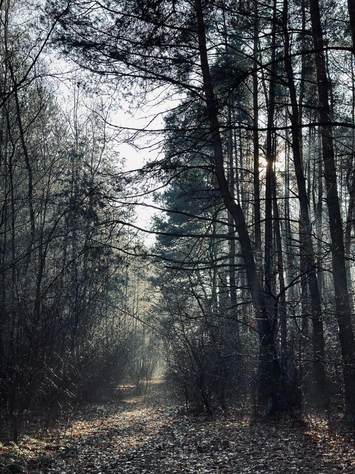 Domki Kacprowy W Lipnicy Lipnica  Exterior foto